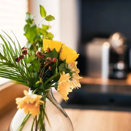 Alpensuites アパート ザーファウス