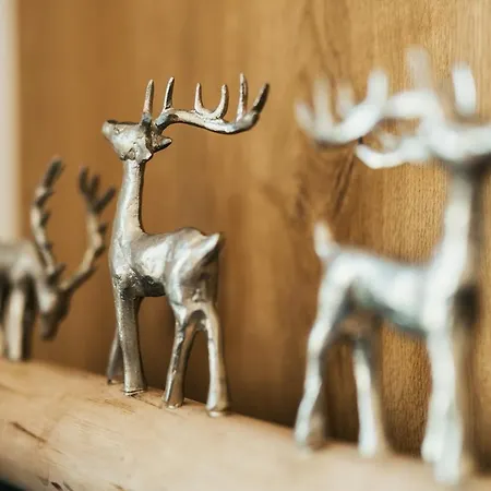 Alpensuites * 瑟弗浩斯